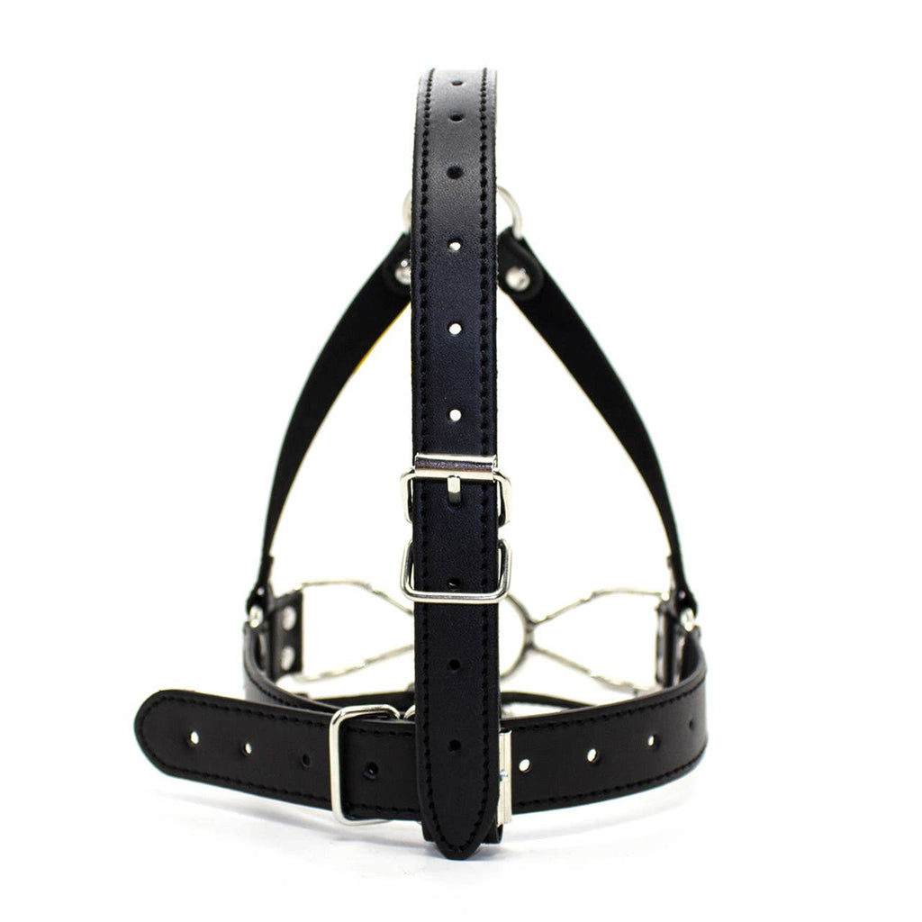 Ball Gag Full Head Harness - PVC with Steel Spider Gag