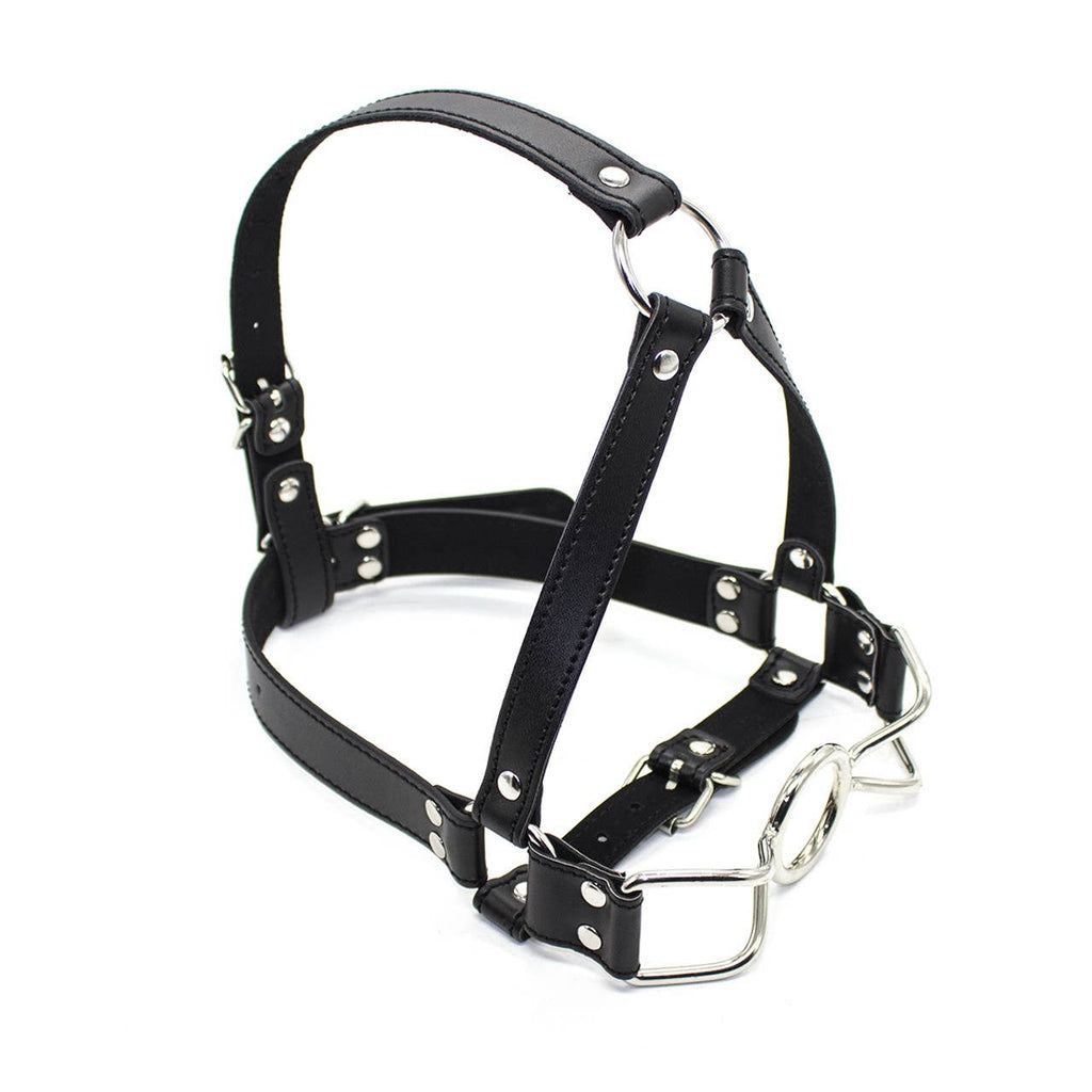 Ball Gag Full Head Harness - PVC with Steel Spider Gag