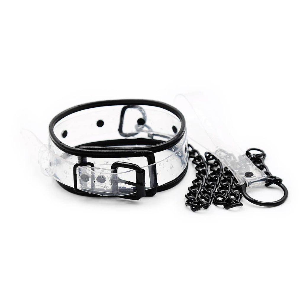 Collar Clear D-Ring Collar with Blk Piping with Leash