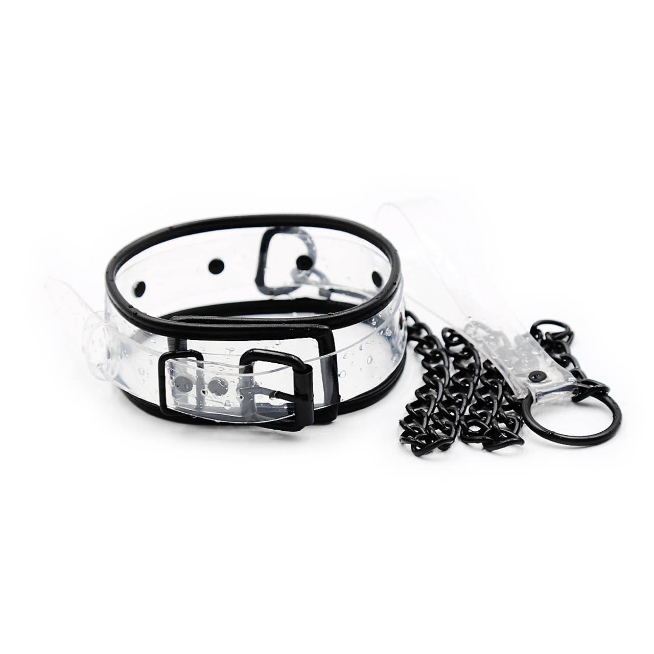 Collar Clear D-Ring Collar with Blk Piping with Leash