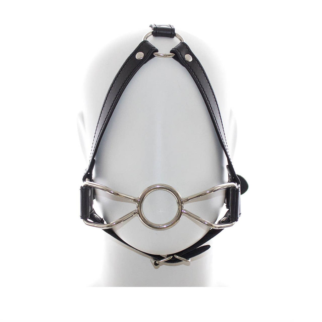 Ball Gag Full Head Harness - PVC with Steel Spider Gag