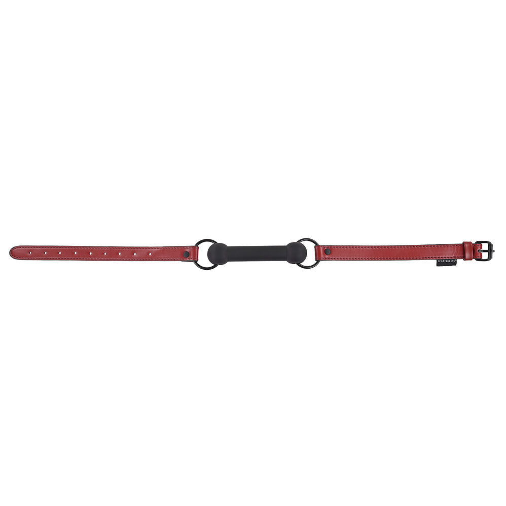 Silicone Bit Gag with Adjustable Buckle
