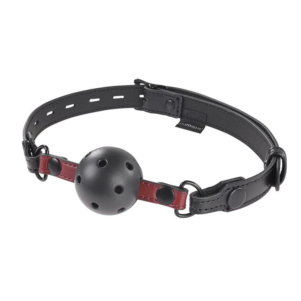 Interchangeable Gag with Adjustable Buckle