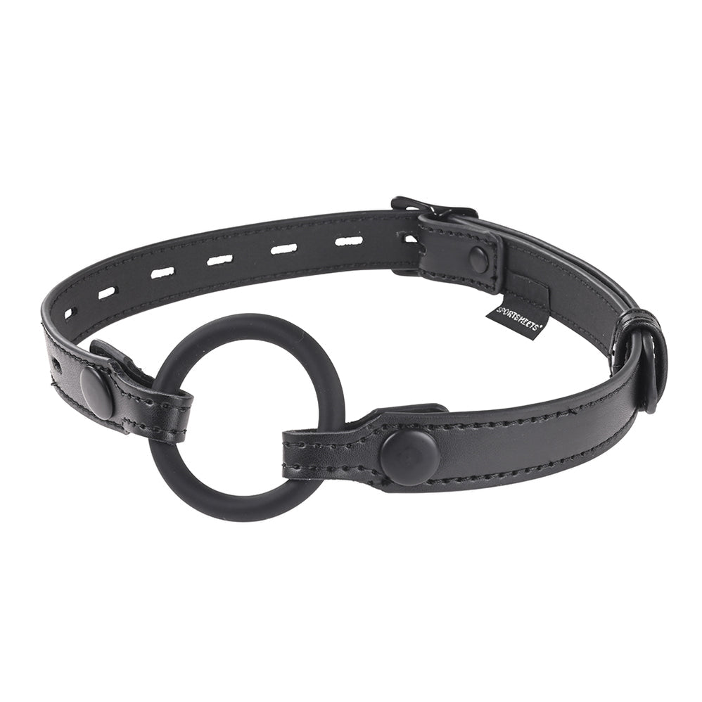Interchangeable Gag with Adjustable Buckle