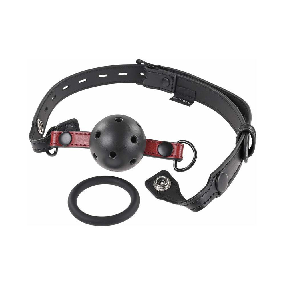 Interchangeable Gag with Adjustable Buckle