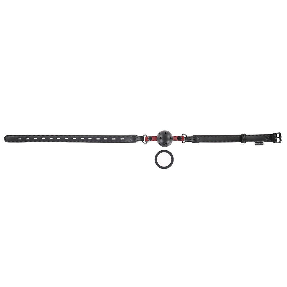 Interchangeable Gag with Adjustable Buckle