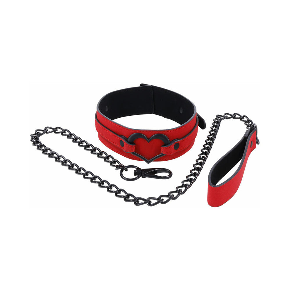 Amor Collar and Leash