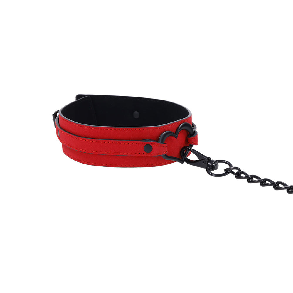 Amor Collar and Leash