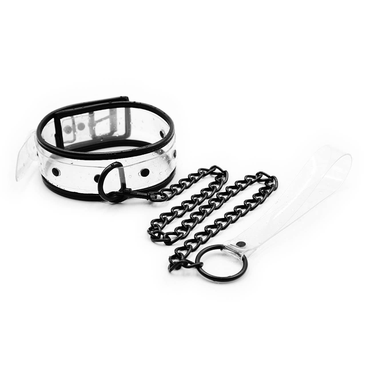 Collar Clear D-Ring Collar with Blk Piping with Leash