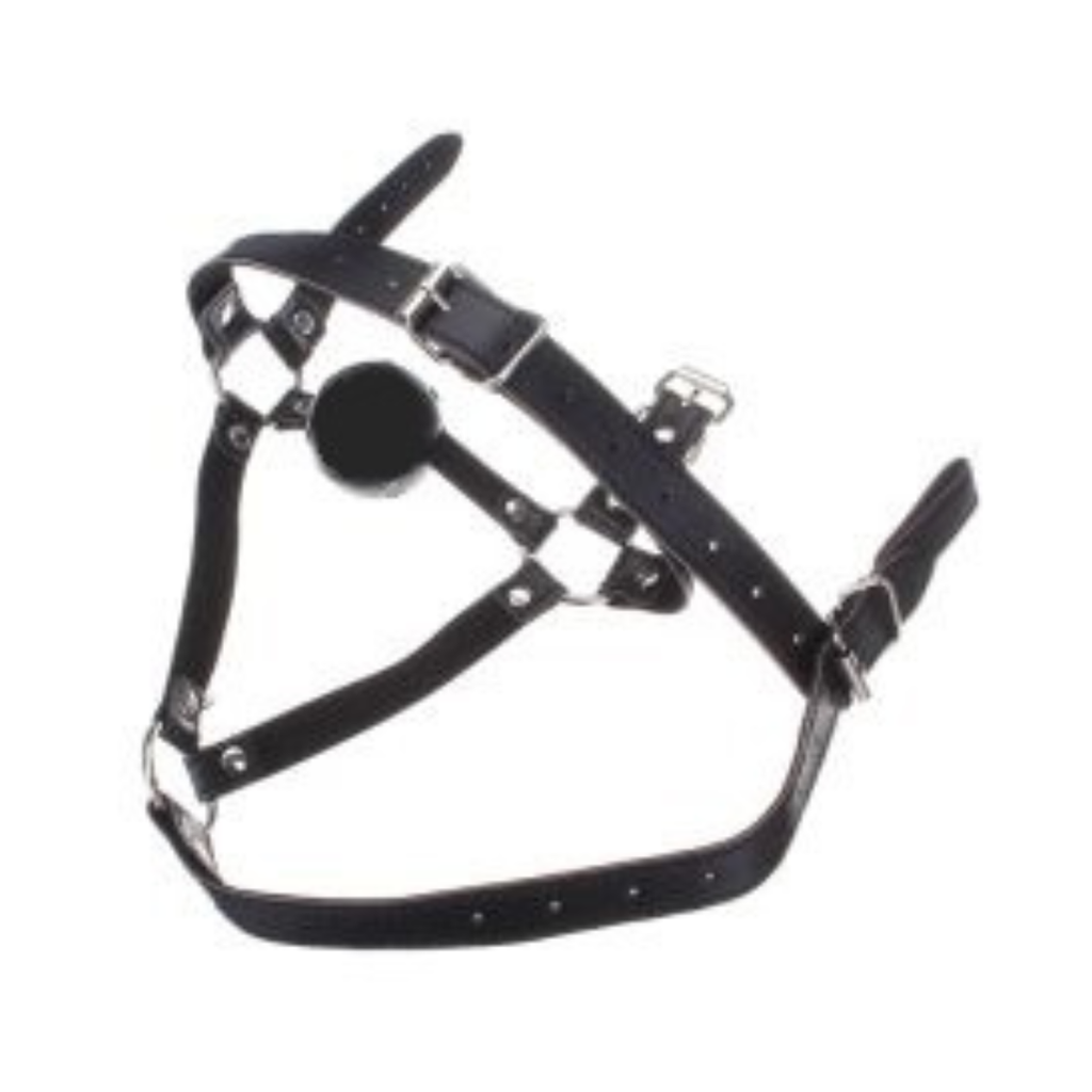 Ball Gag - Full Head Harness Breathable Gag with Nose Hook