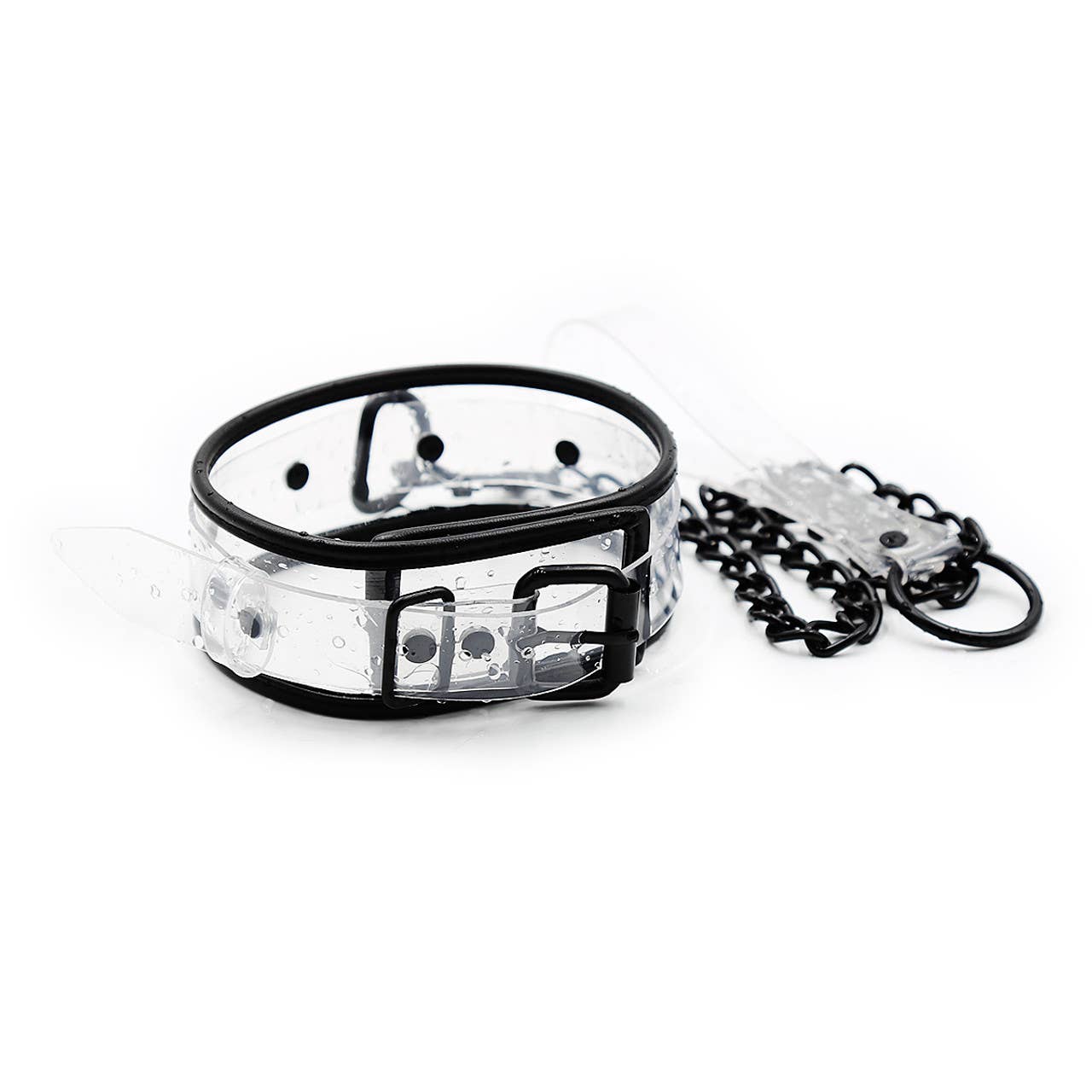Collar Clear D-Ring Collar with Blk Piping with Leash