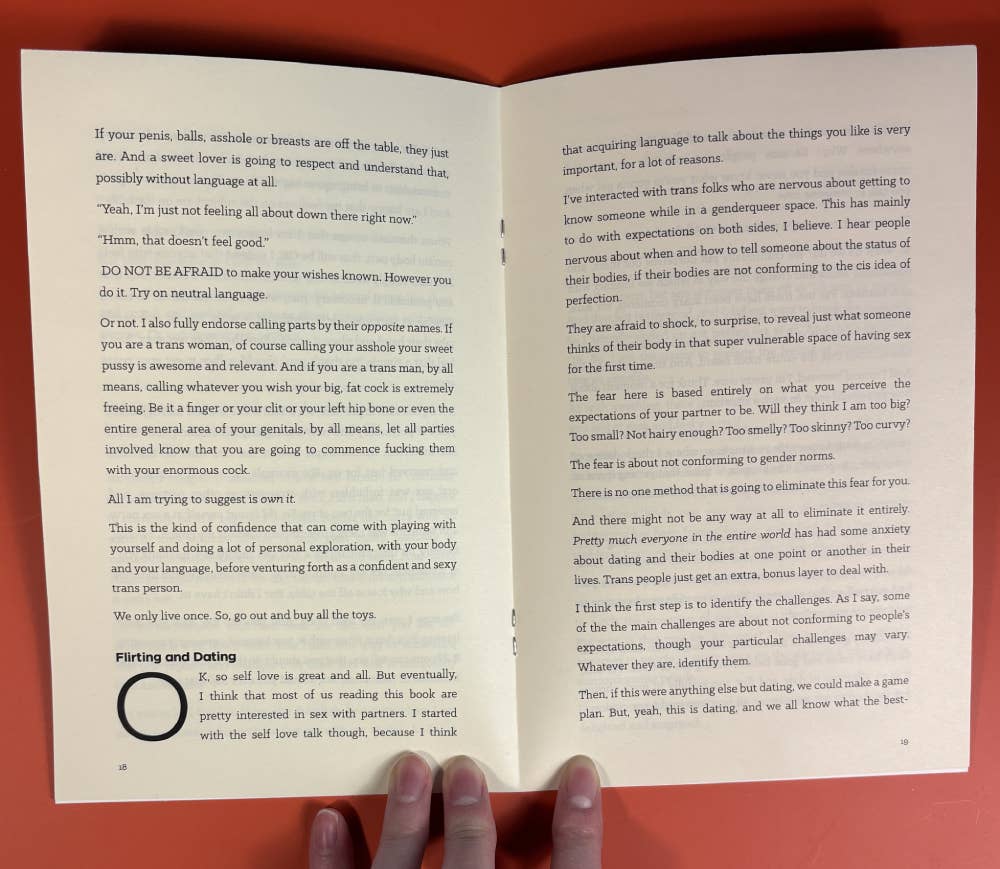 Sex Without Roles: A Guide to Transcend Gender (Zine)