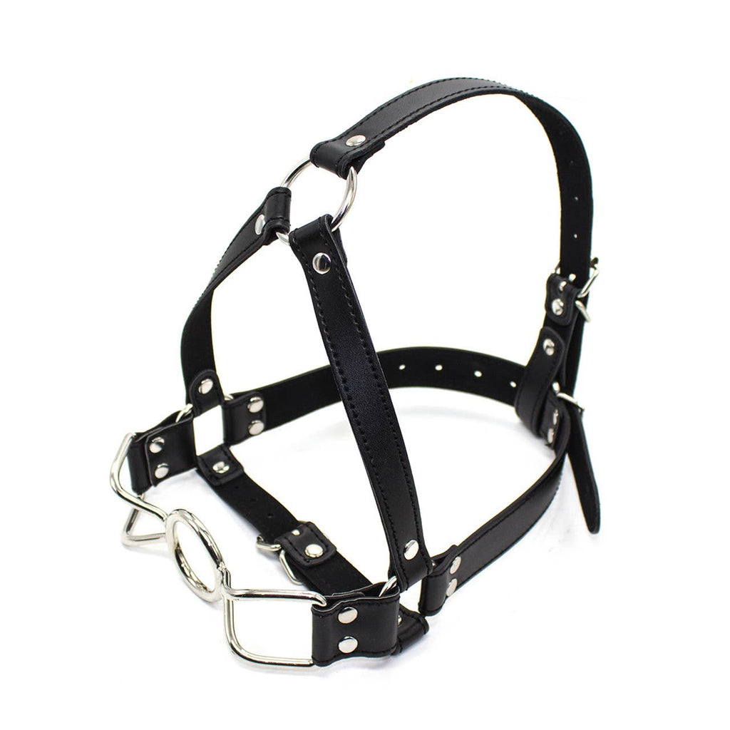 Ball Gag Full Head Harness - PVC with Steel Spider Gag
